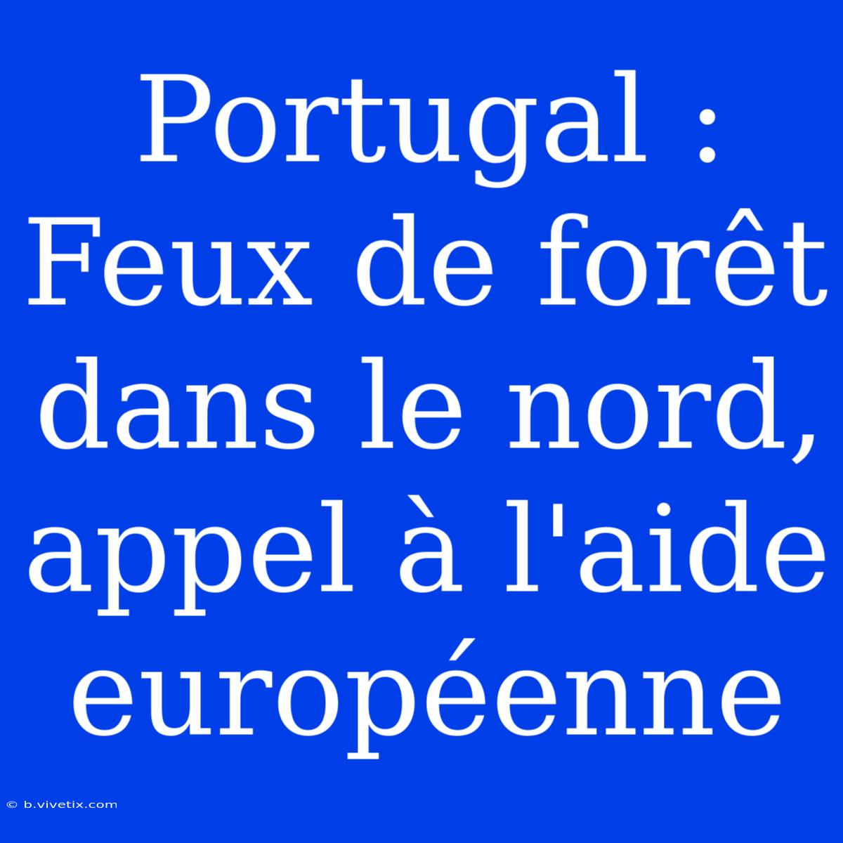 Portugal : Feux De Forêt Dans Le Nord, Appel À L'aide Européenne