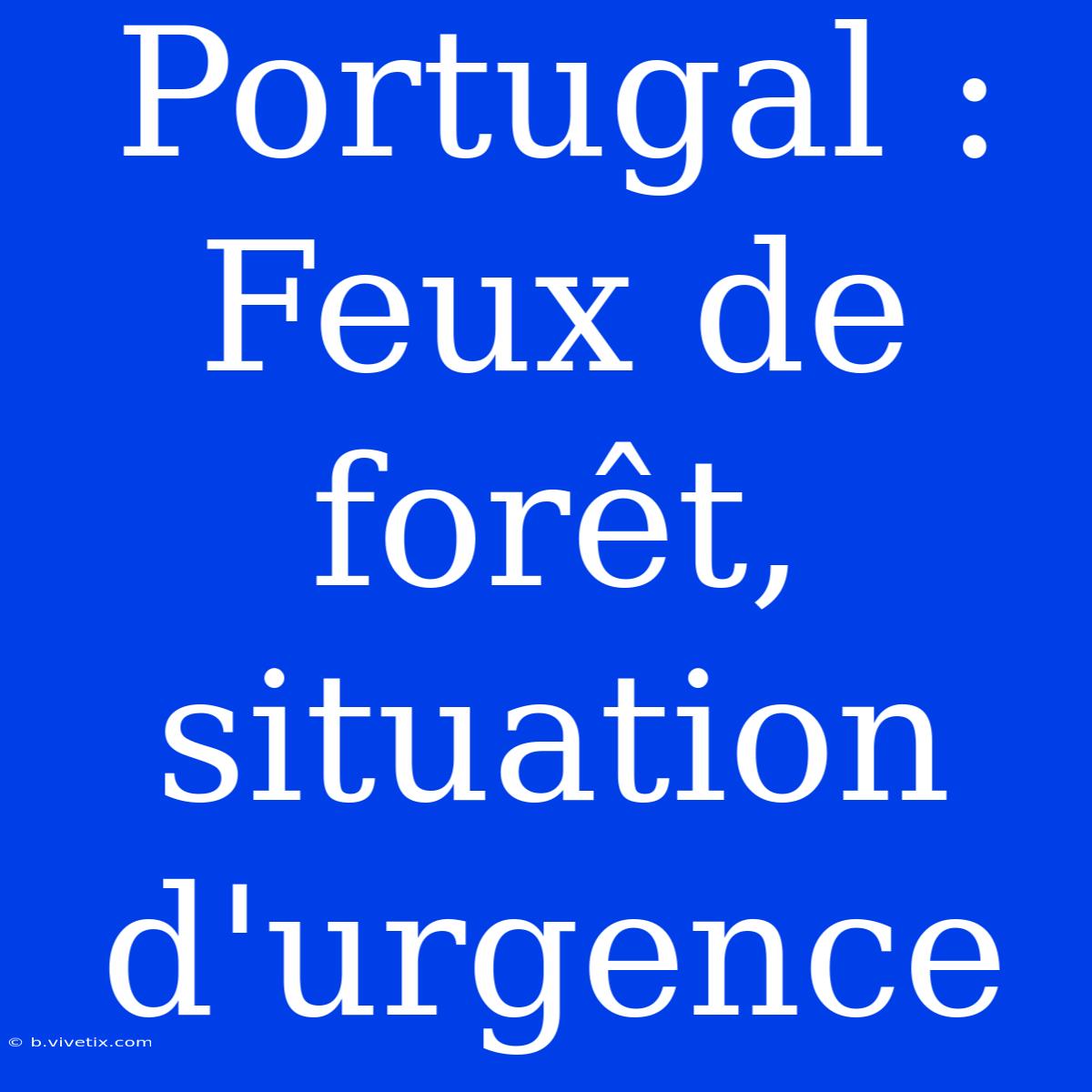 Portugal : Feux De Forêt, Situation D'urgence