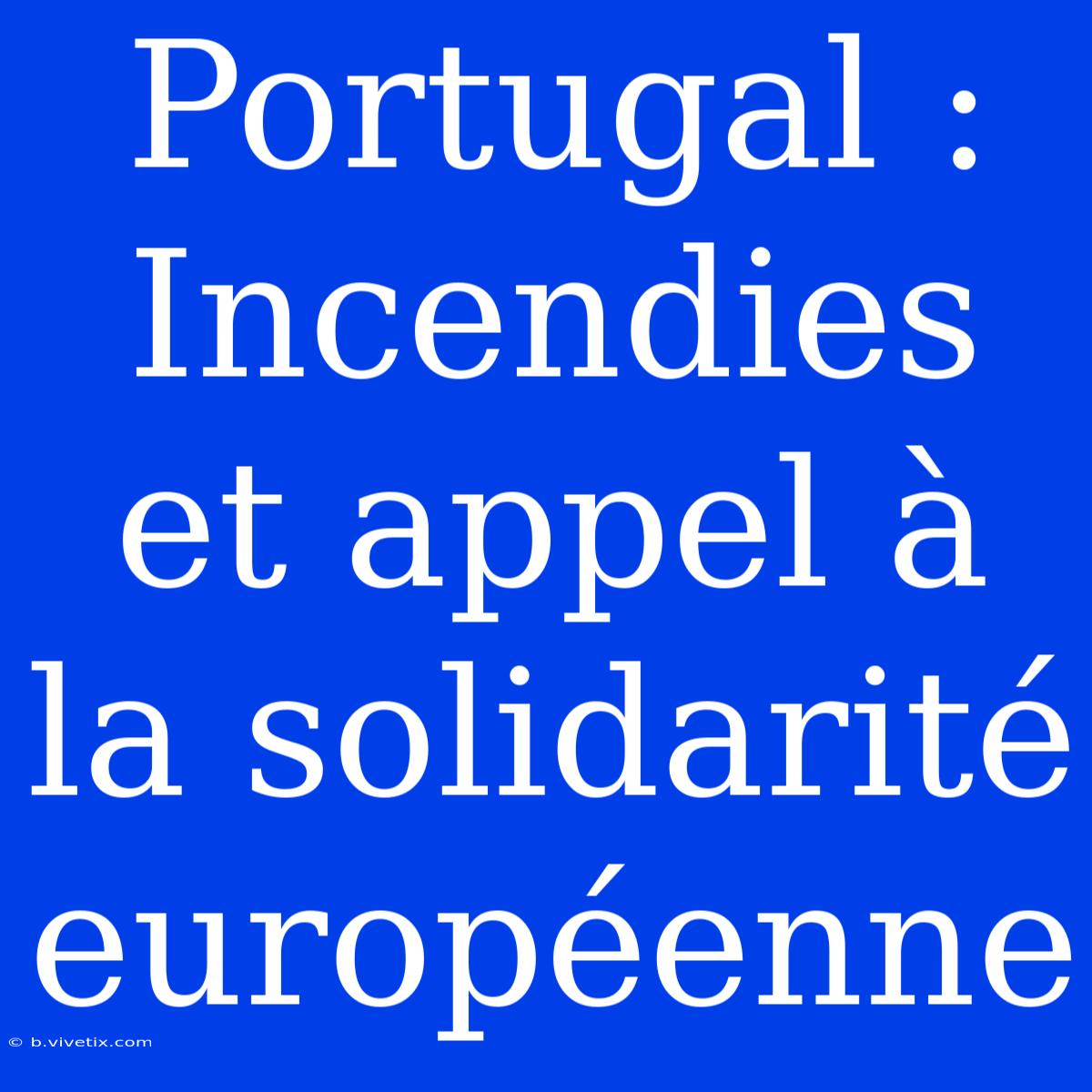 Portugal : Incendies Et Appel À La Solidarité Européenne