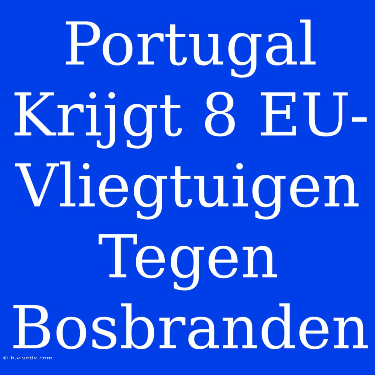 Portugal Krijgt 8 EU-Vliegtuigen Tegen Bosbranden