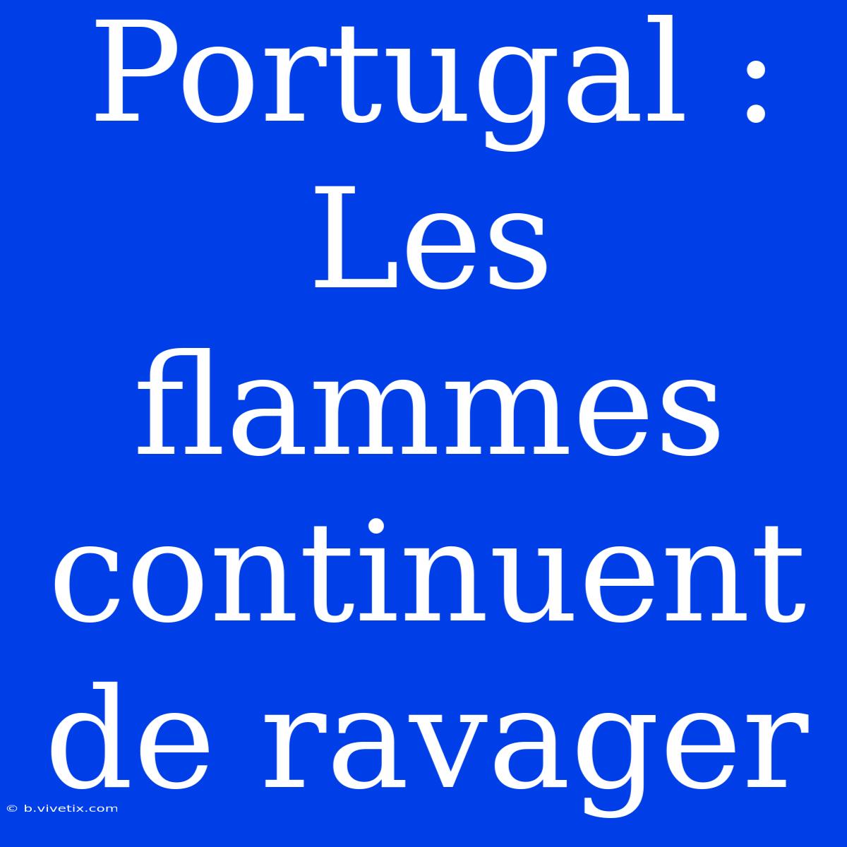 Portugal : Les Flammes Continuent De Ravager