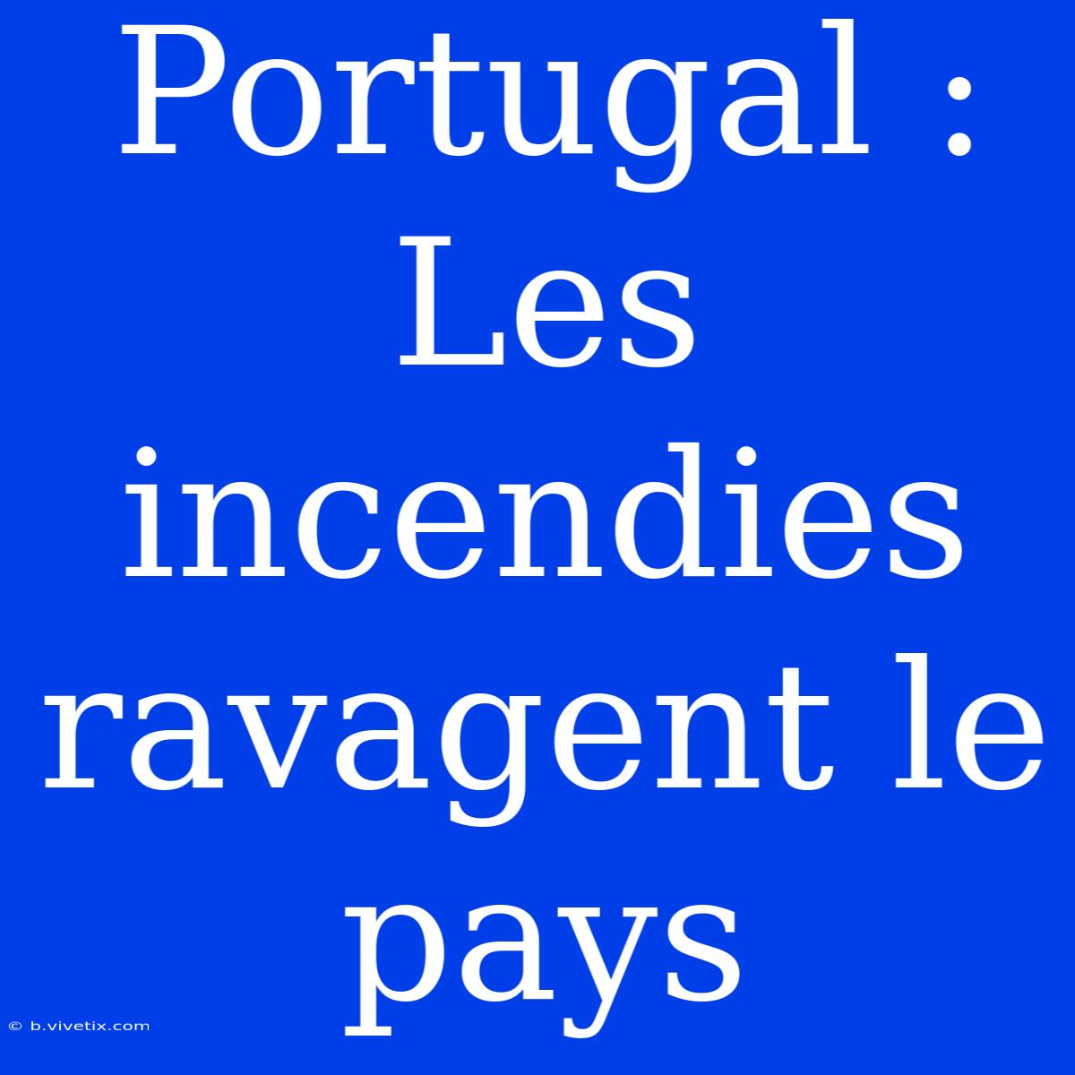 Portugal : Les Incendies Ravagent Le Pays