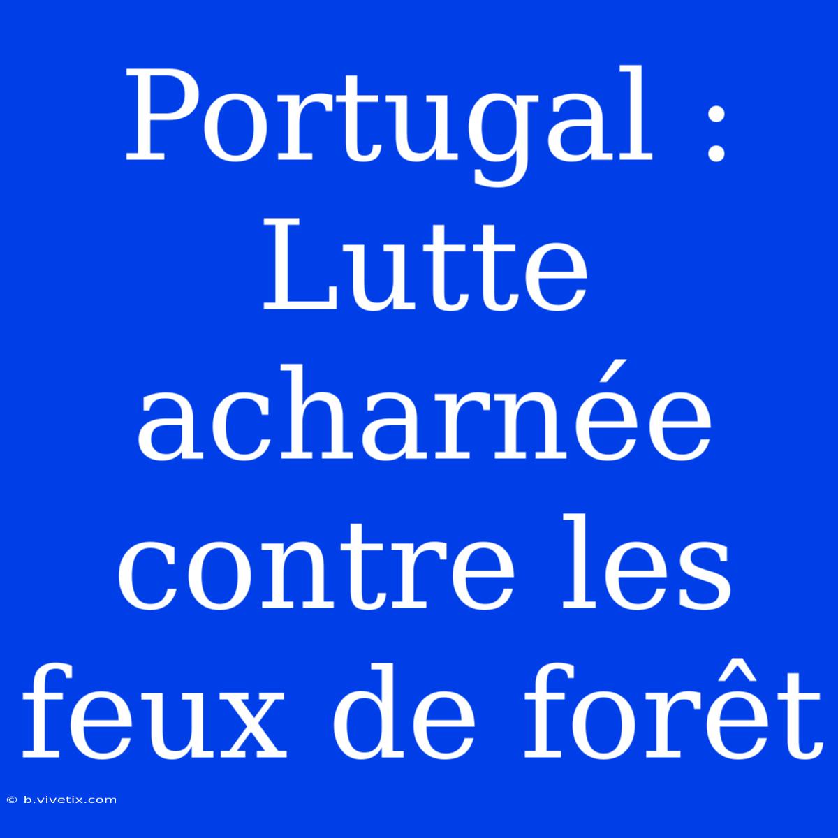 Portugal : Lutte Acharnée Contre Les Feux De Forêt