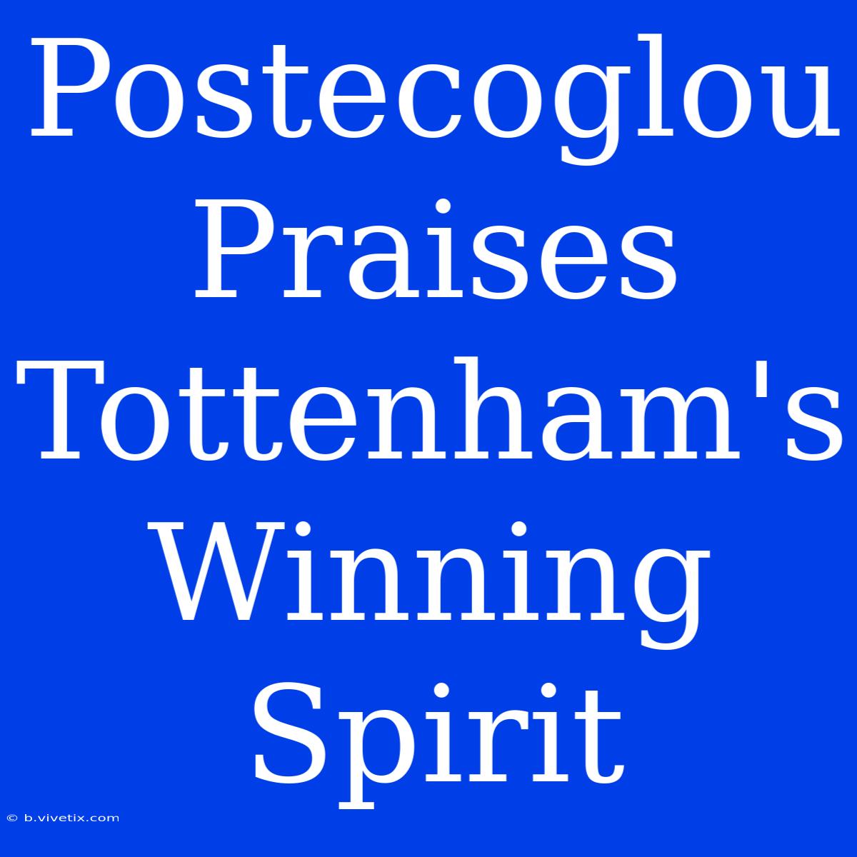 Postecoglou Praises Tottenham's Winning Spirit