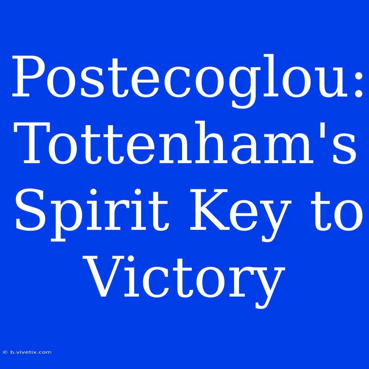 Postecoglou: Tottenham's Spirit Key To Victory