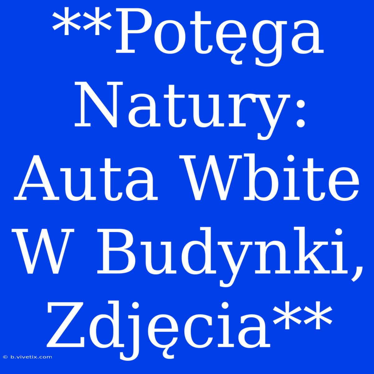 **Potęga Natury: Auta Wbite W Budynki, Zdjęcia**