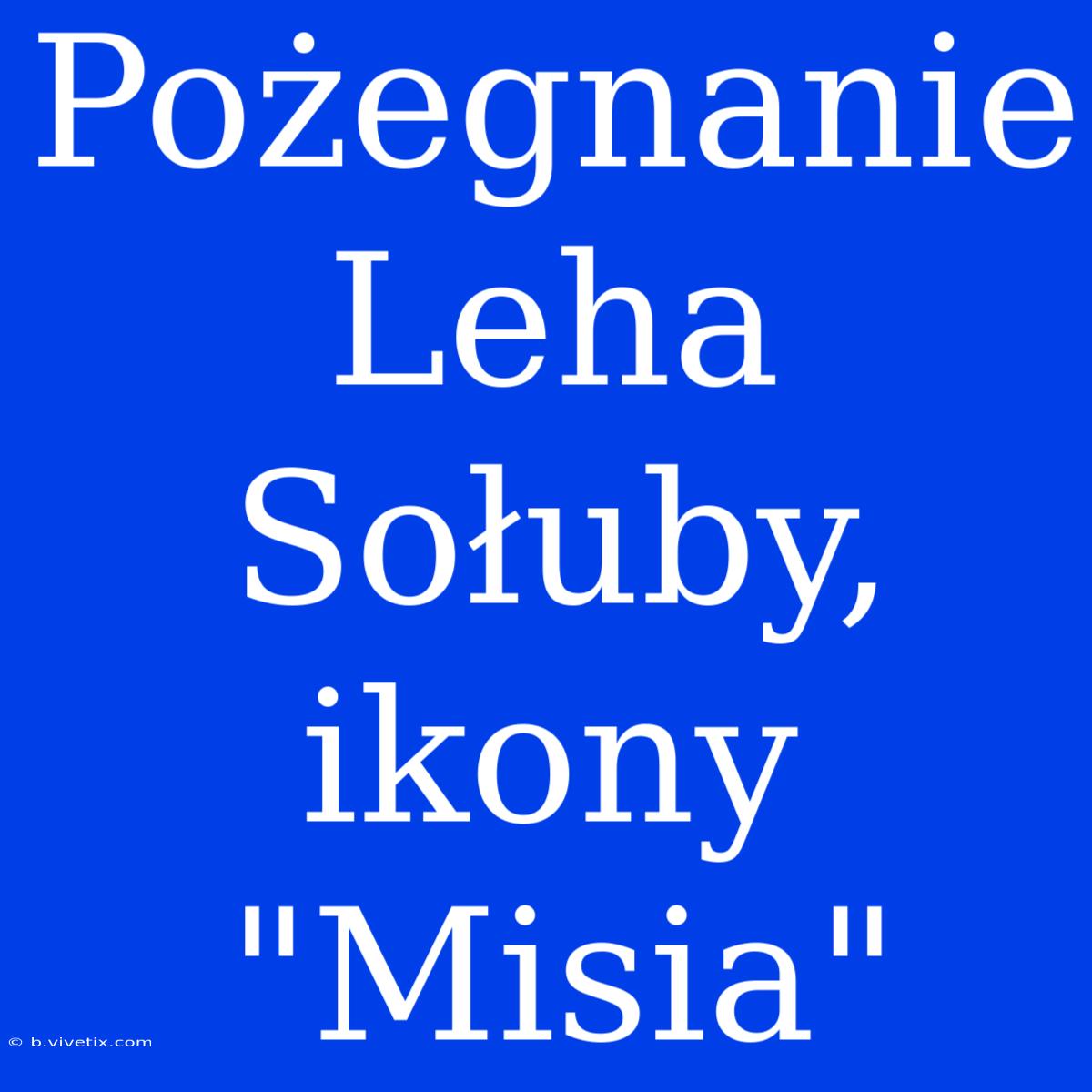 Pożegnanie Leha Sołuby, Ikony 