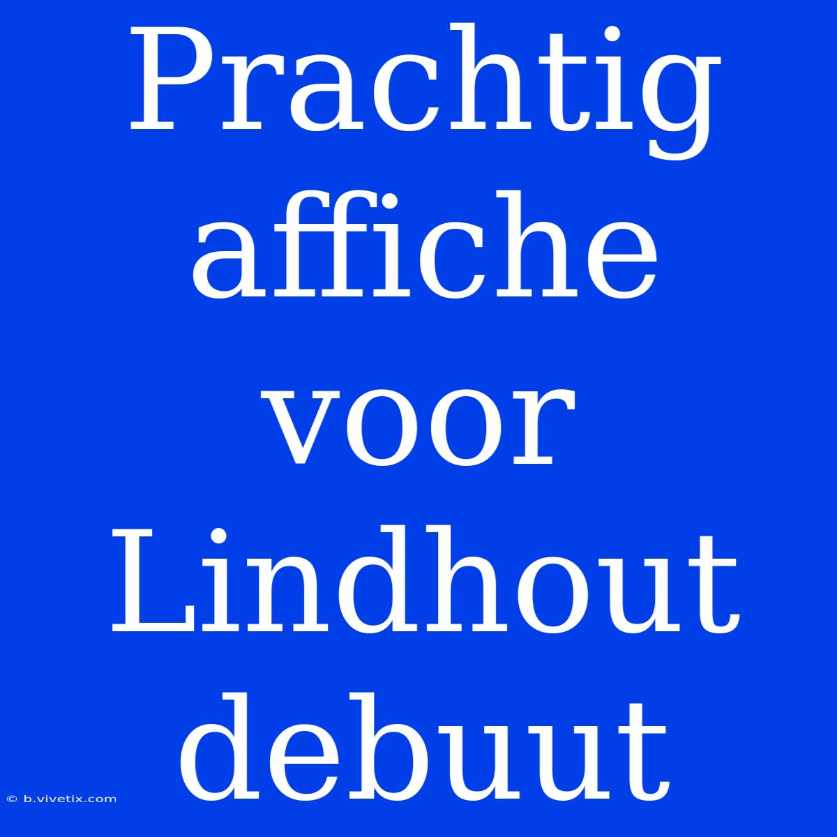 Prachtig Affiche Voor Lindhout Debuut