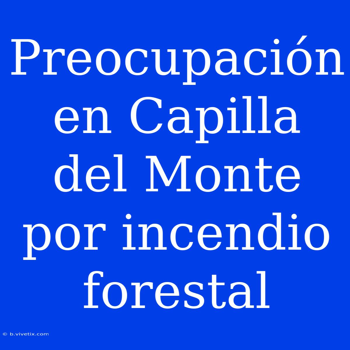 Preocupación En Capilla Del Monte Por Incendio Forestal