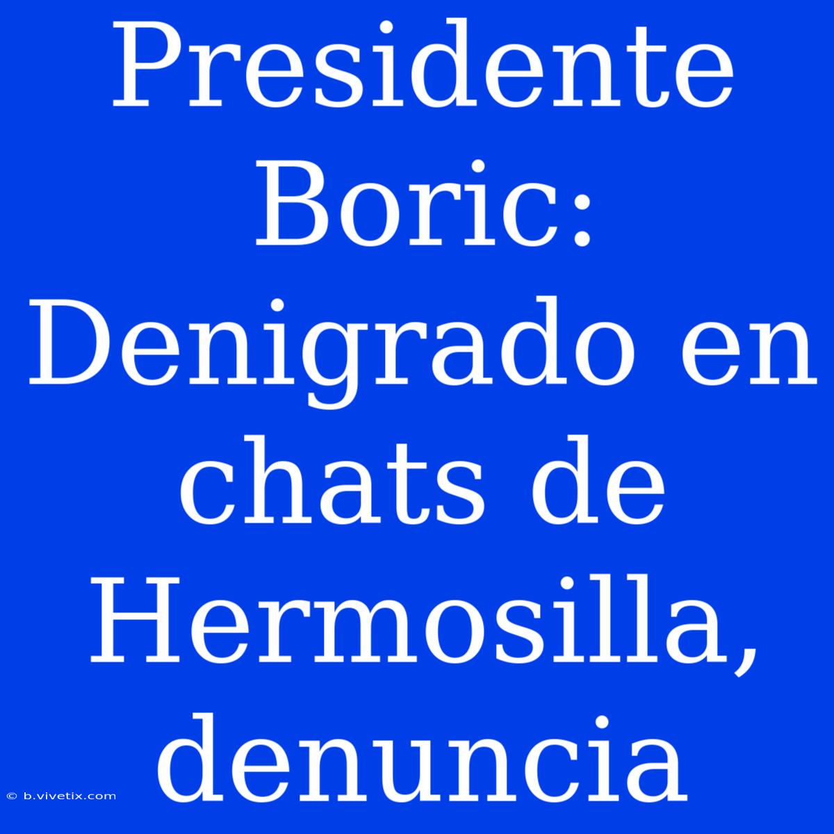 Presidente Boric: Denigrado En Chats De Hermosilla, Denuncia