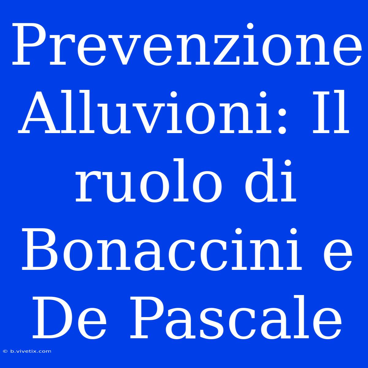 Prevenzione Alluvioni: Il Ruolo Di Bonaccini E De Pascale