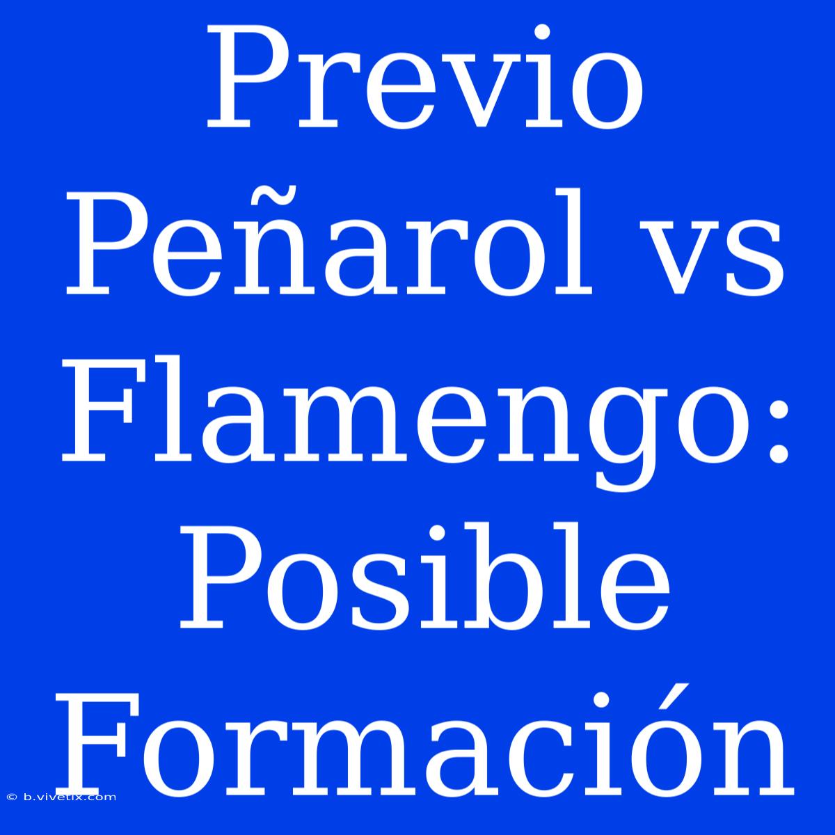 Previo Peñarol Vs Flamengo: Posible Formación