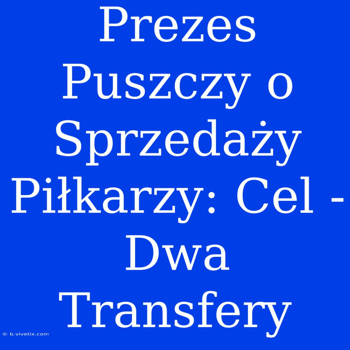 Prezes Puszczy O Sprzedaży Piłkarzy: Cel - Dwa Transfery