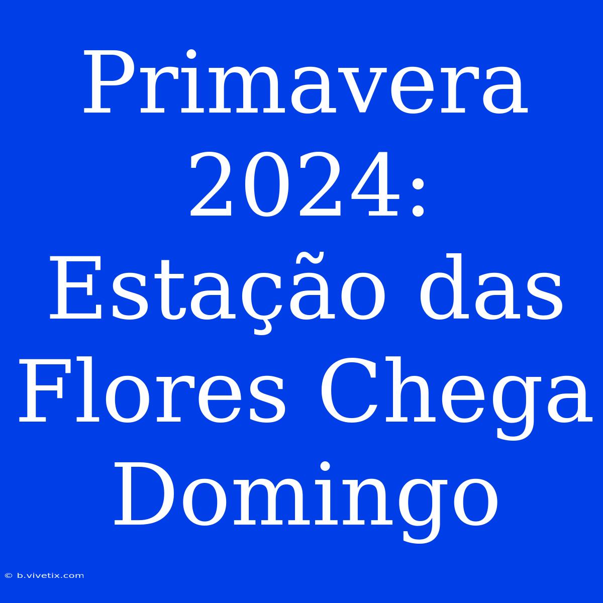 Primavera 2024: Estação Das Flores Chega Domingo