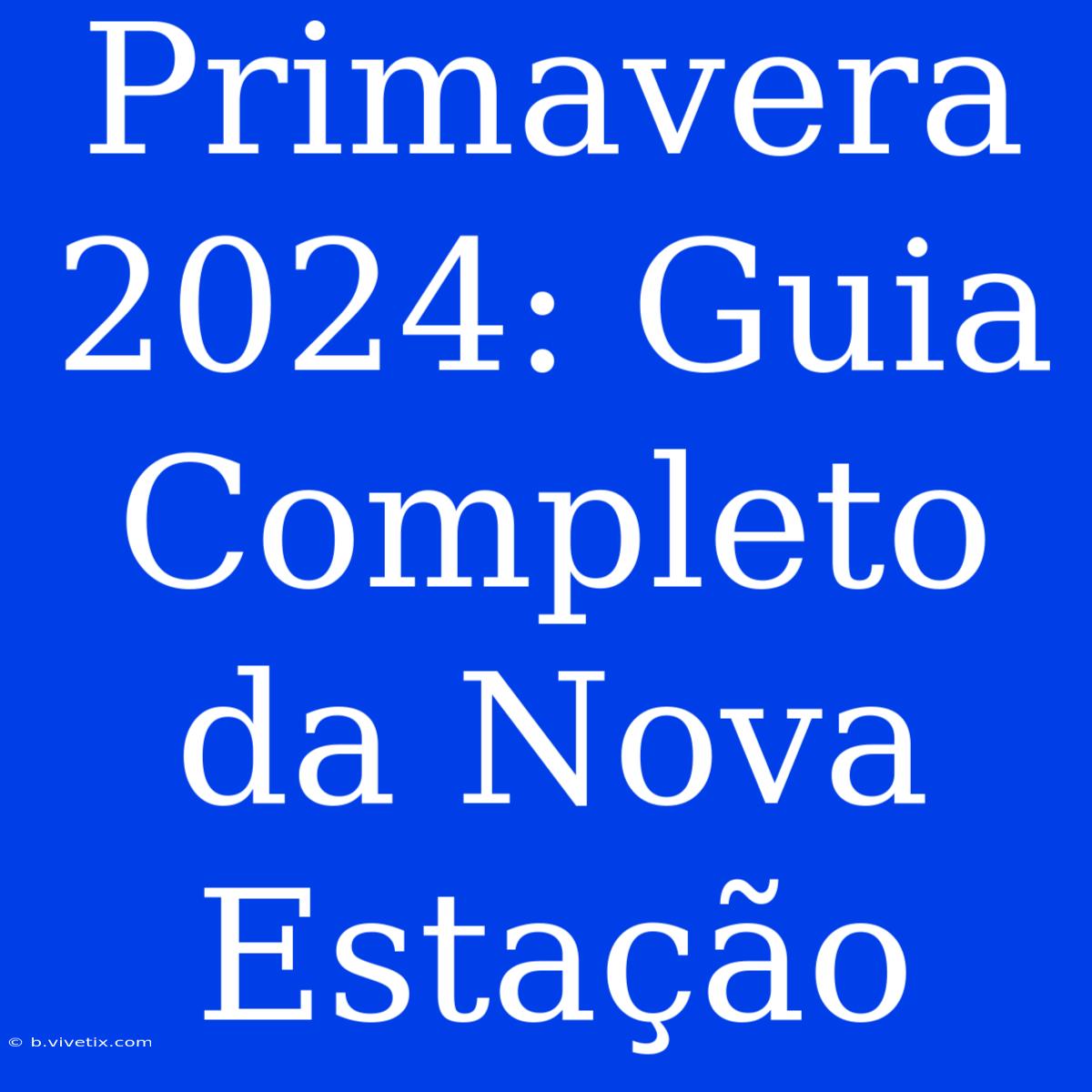 Primavera 2024: Guia Completo Da Nova Estação