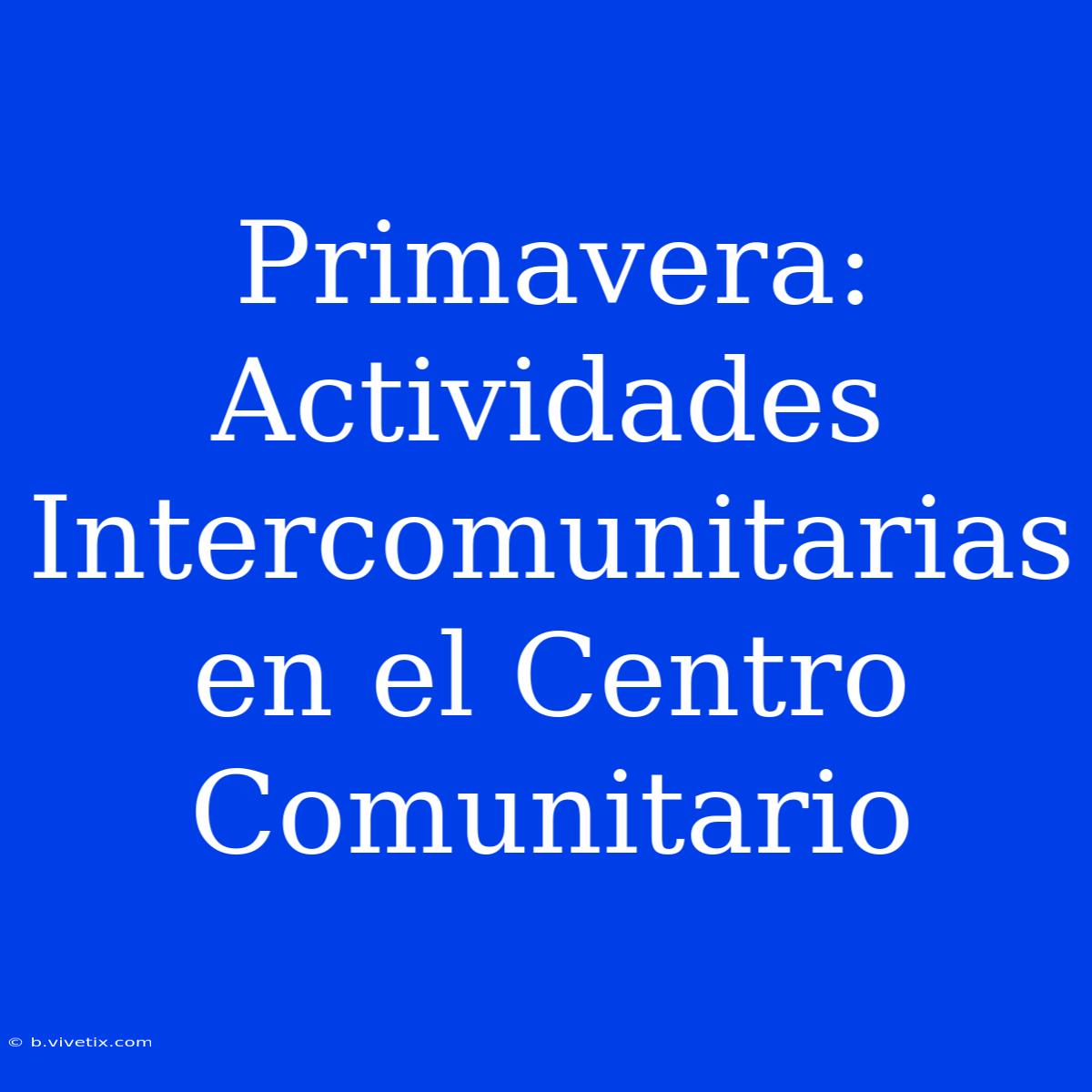 Primavera: Actividades Intercomunitarias En El Centro Comunitario