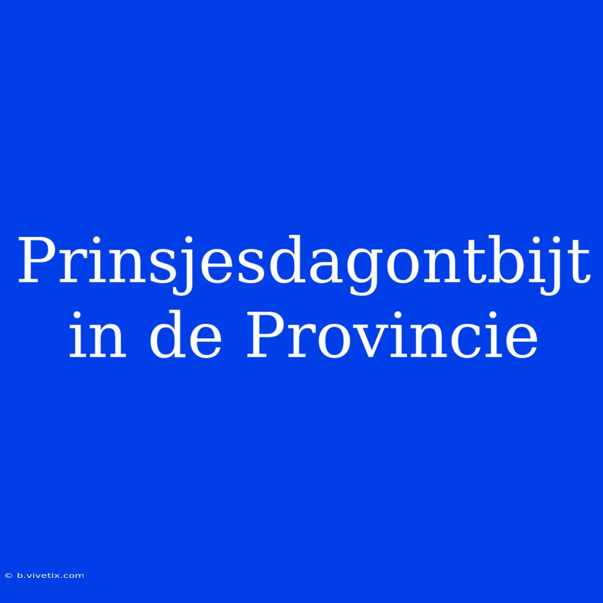 Prinsjesdagontbijt In De Provincie