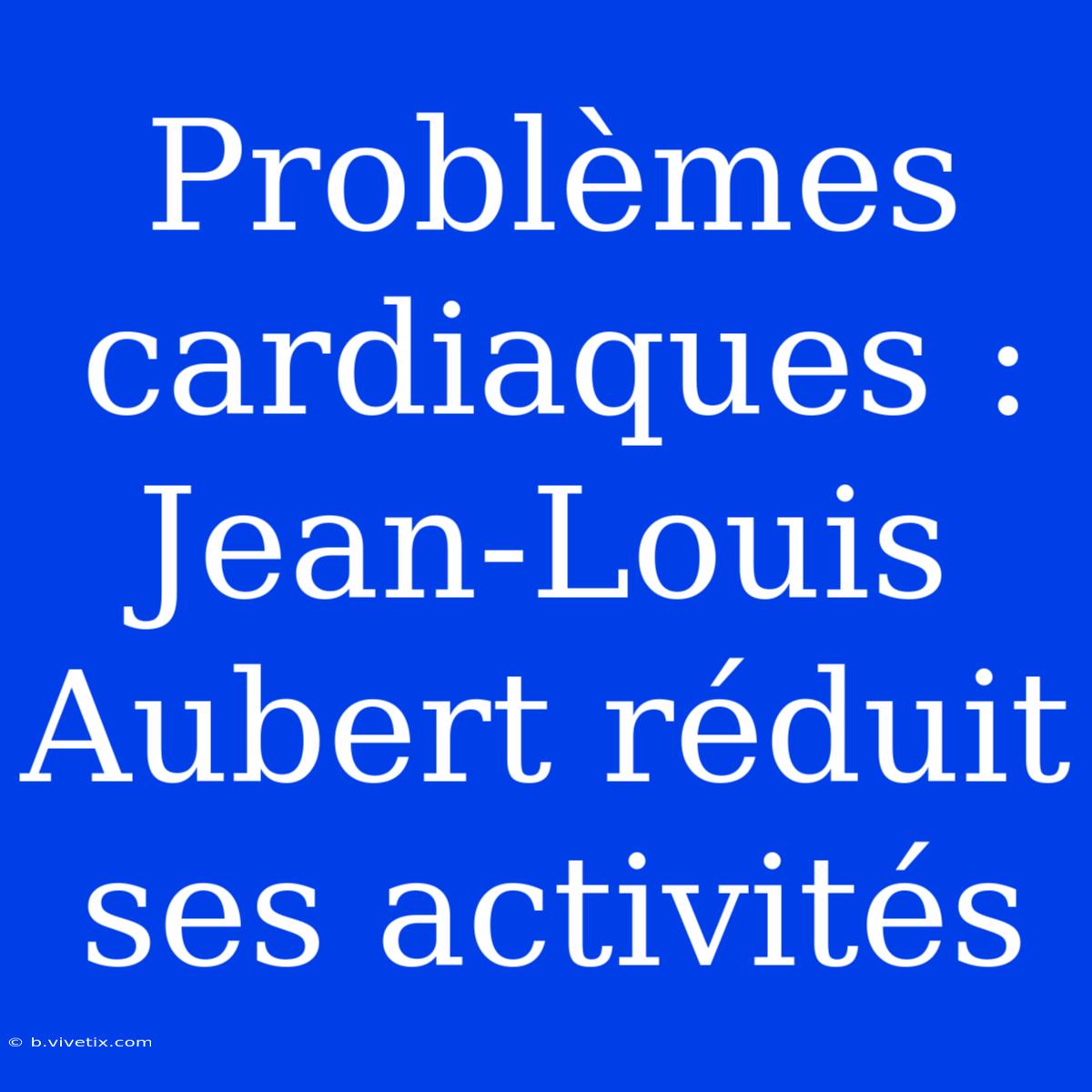 Problèmes Cardiaques : Jean-Louis Aubert Réduit Ses Activités