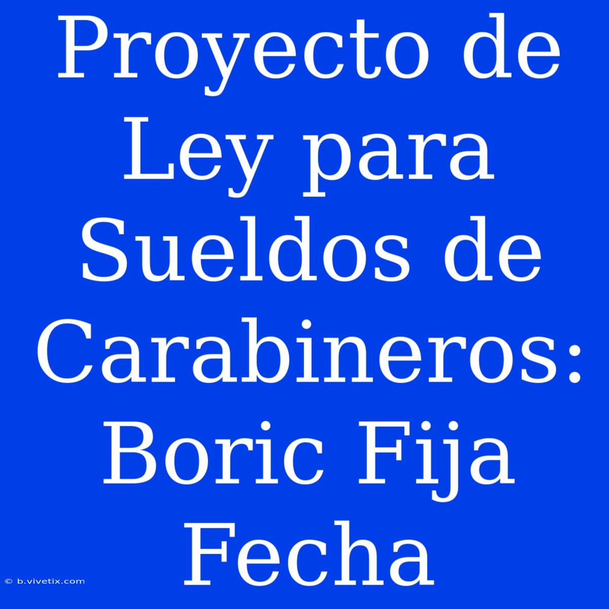 Proyecto De Ley Para Sueldos De Carabineros: Boric Fija Fecha