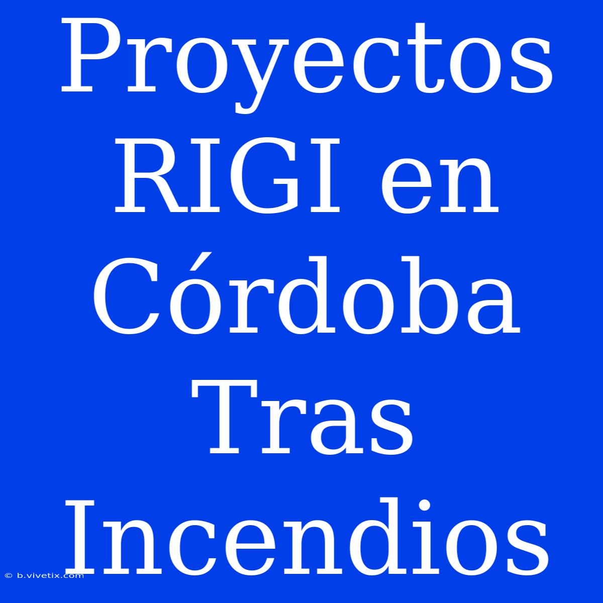 Proyectos RIGI En Córdoba Tras Incendios