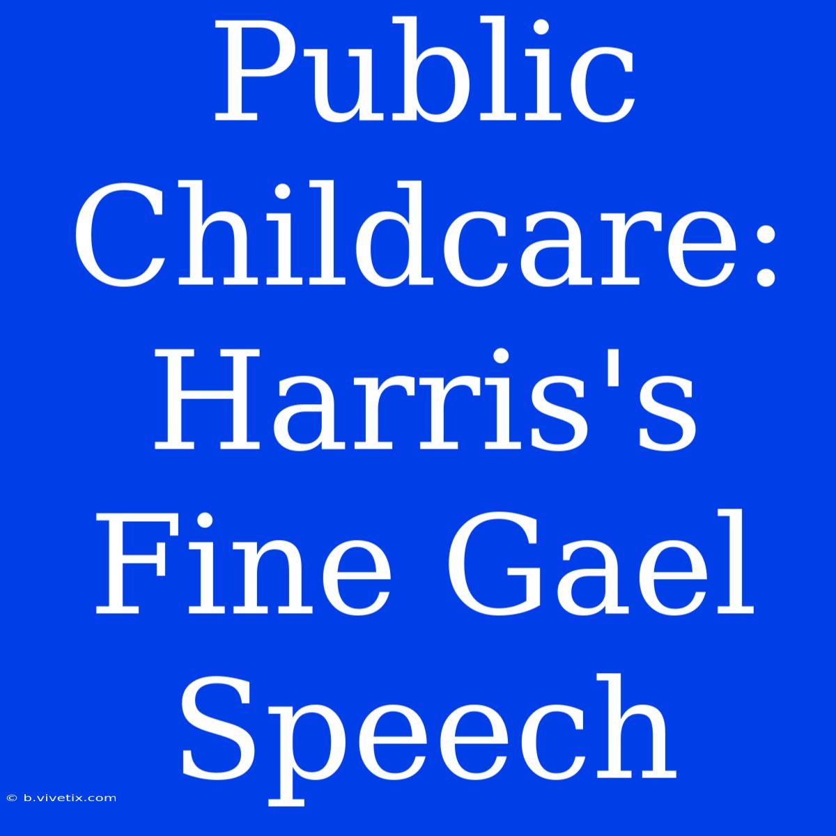 Public Childcare: Harris's Fine Gael Speech