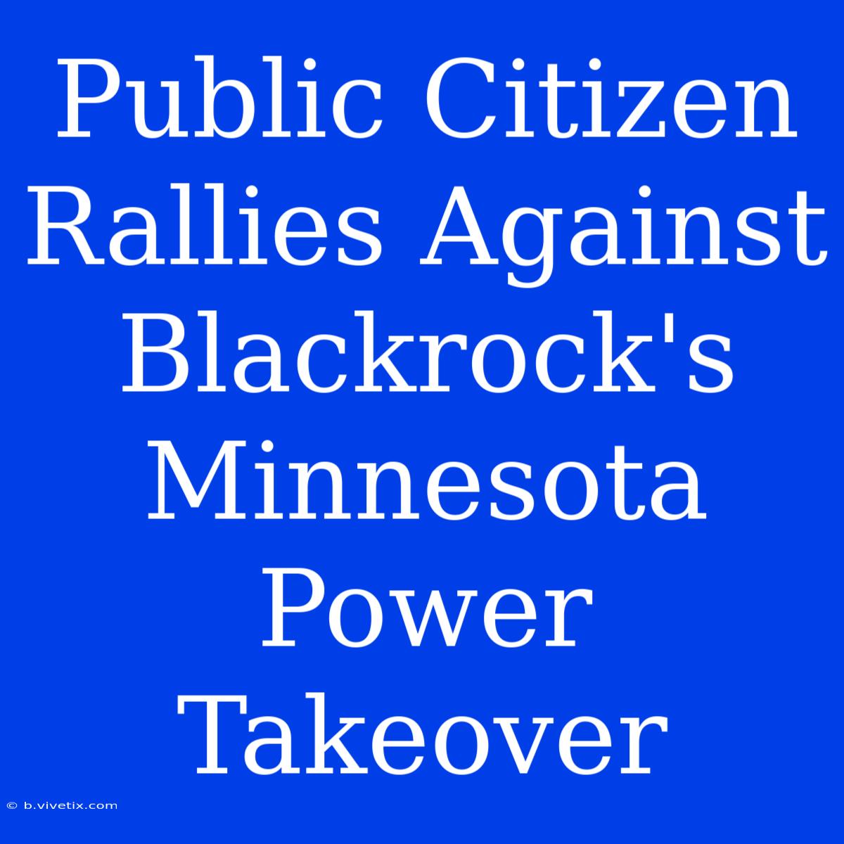 Public Citizen Rallies Against Blackrock's Minnesota Power Takeover