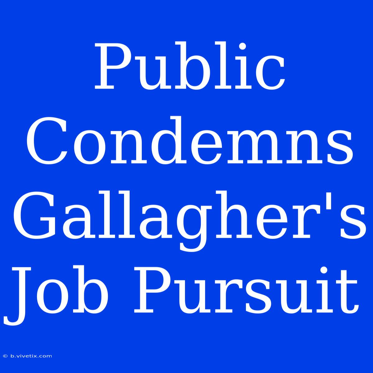 Public Condemns Gallagher's Job Pursuit 