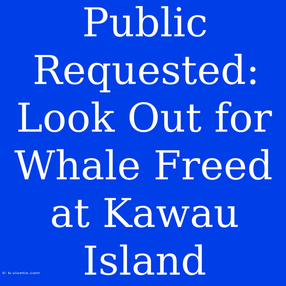 Public Requested: Look Out For Whale Freed At Kawau Island 