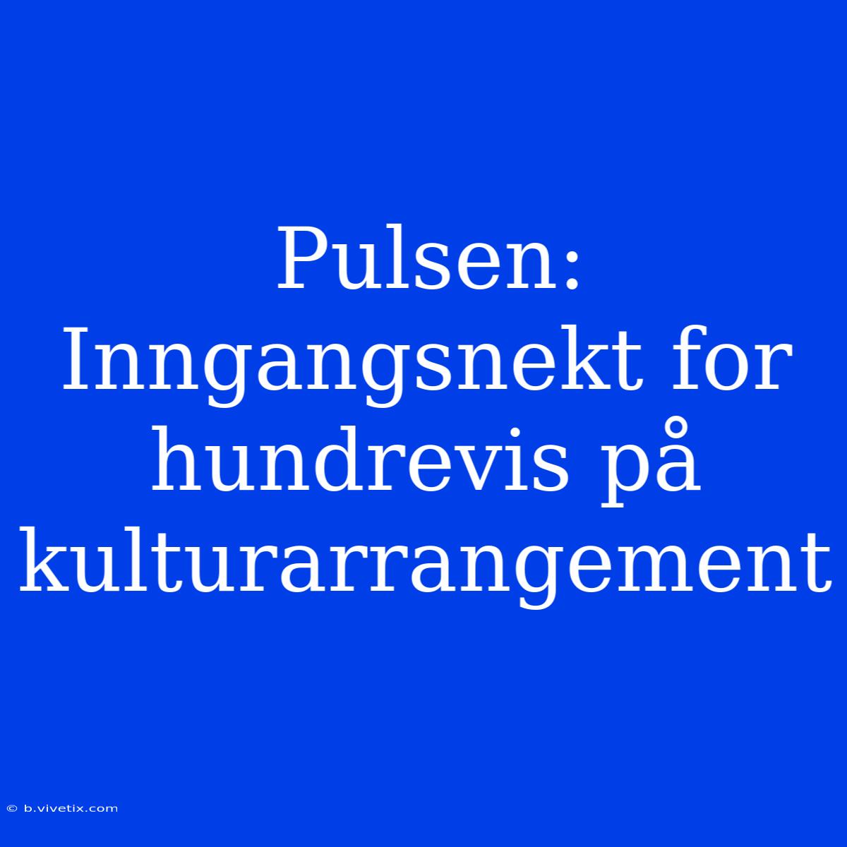 Pulsen: Inngangsnekt For Hundrevis På Kulturarrangement