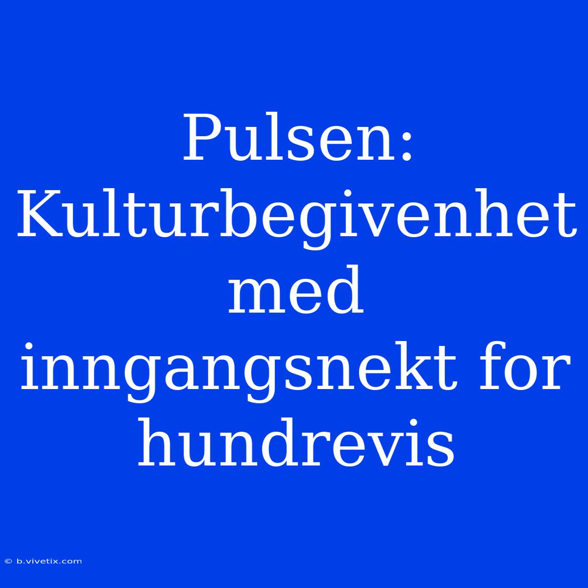 Pulsen: Kulturbegivenhet Med Inngangsnekt For Hundrevis