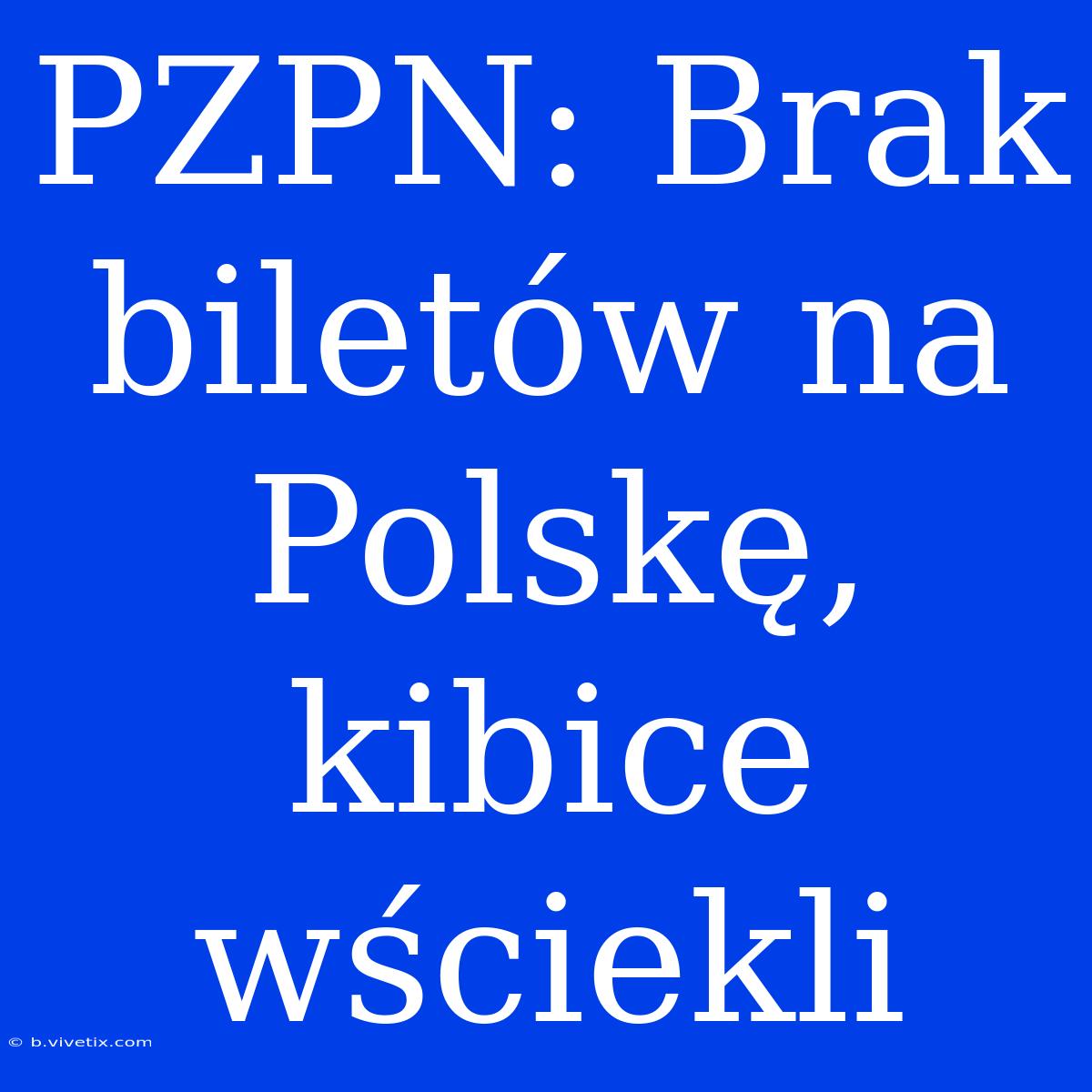 PZPN: Brak Biletów Na Polskę, Kibice Wściekli 