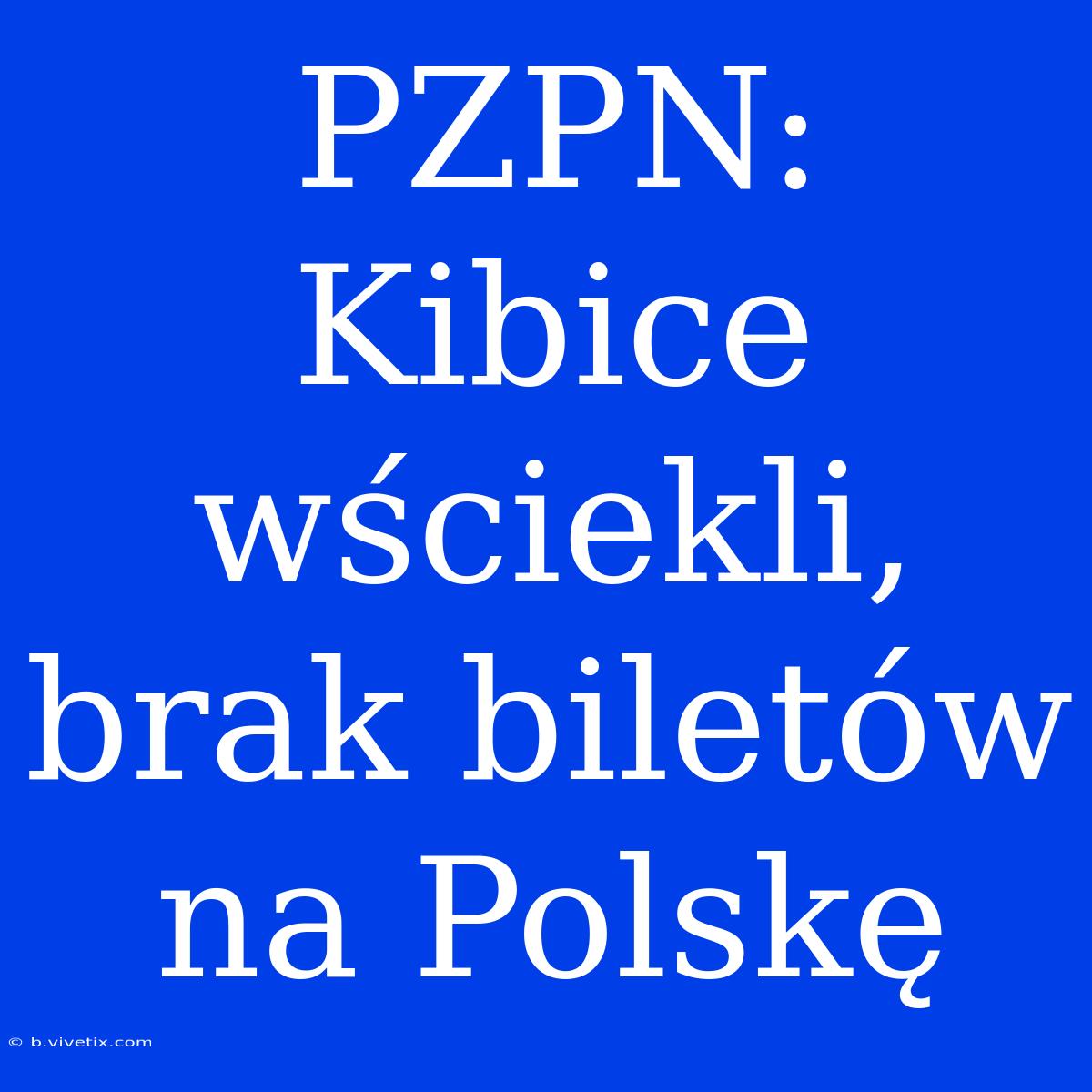 PZPN: Kibice Wściekli, Brak Biletów Na Polskę