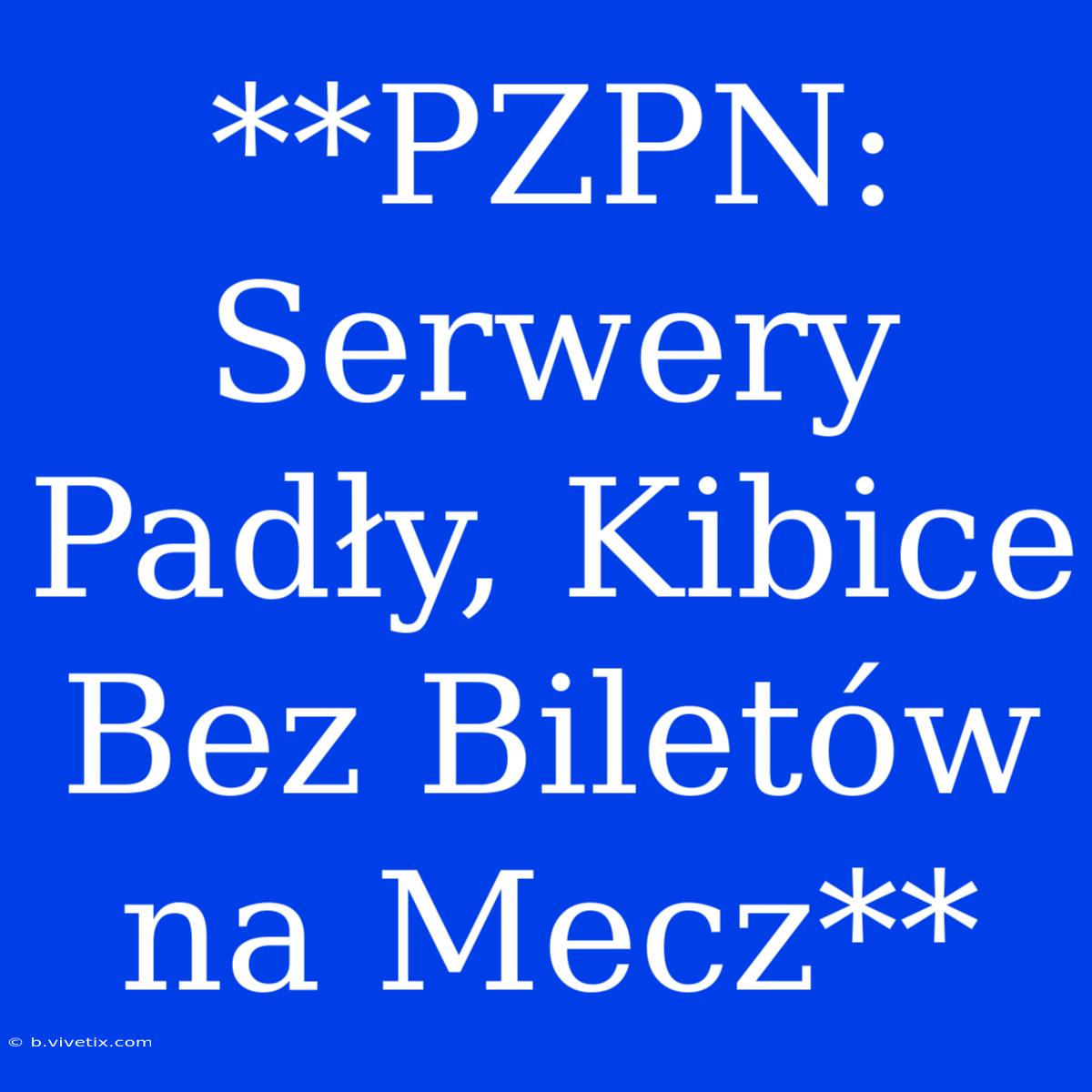 **PZPN: Serwery Padły, Kibice Bez Biletów Na Mecz**