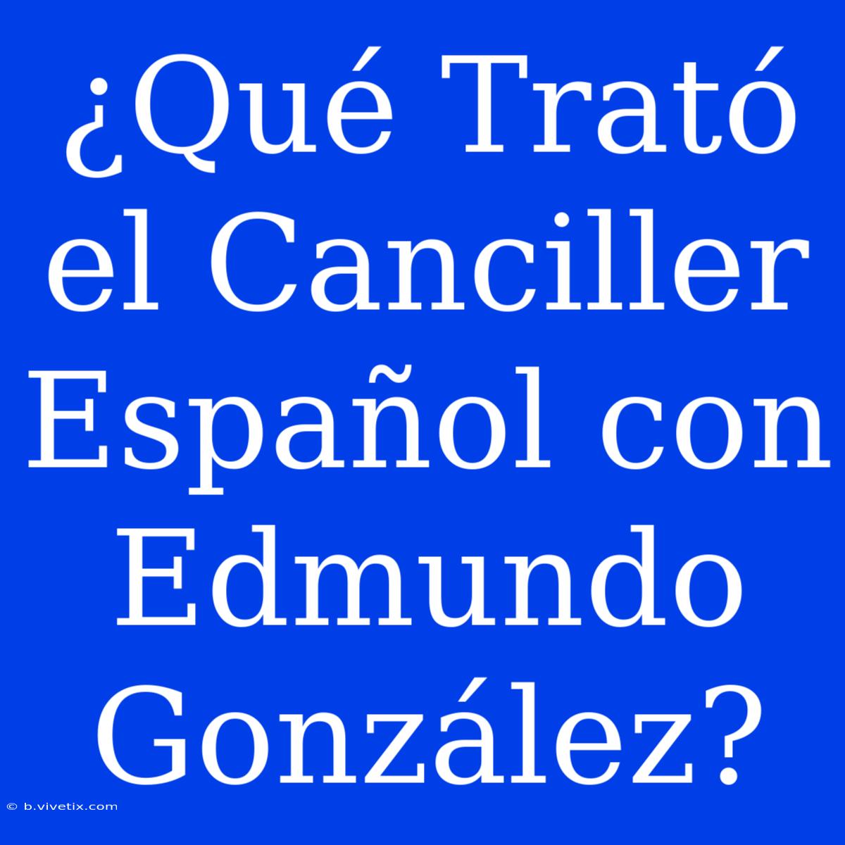 ¿Qué Trató El Canciller Español Con Edmundo González?