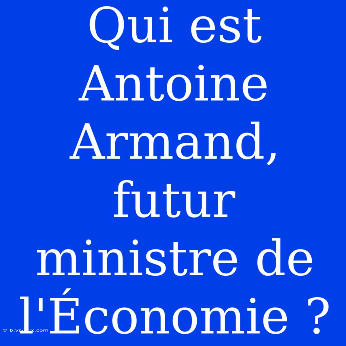 Qui Est Antoine Armand, Futur Ministre De L'Économie ?