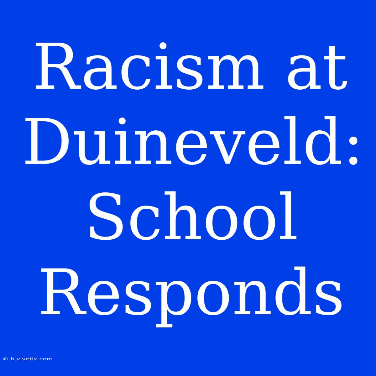 Racism At Duineveld: School Responds