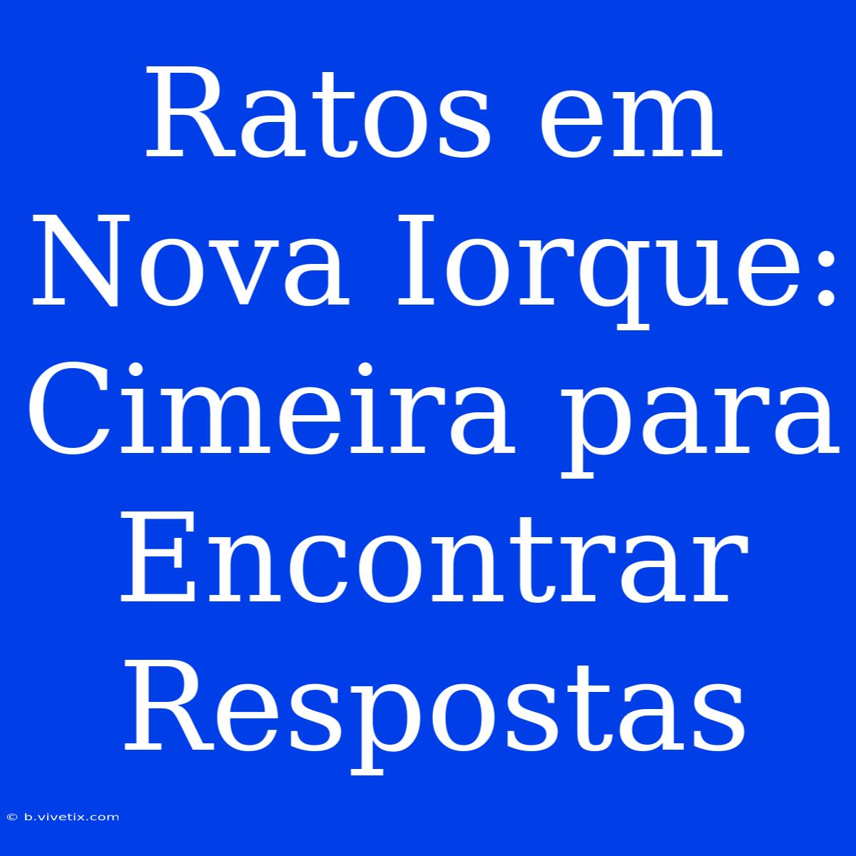 Ratos Em Nova Iorque: Cimeira Para Encontrar Respostas 