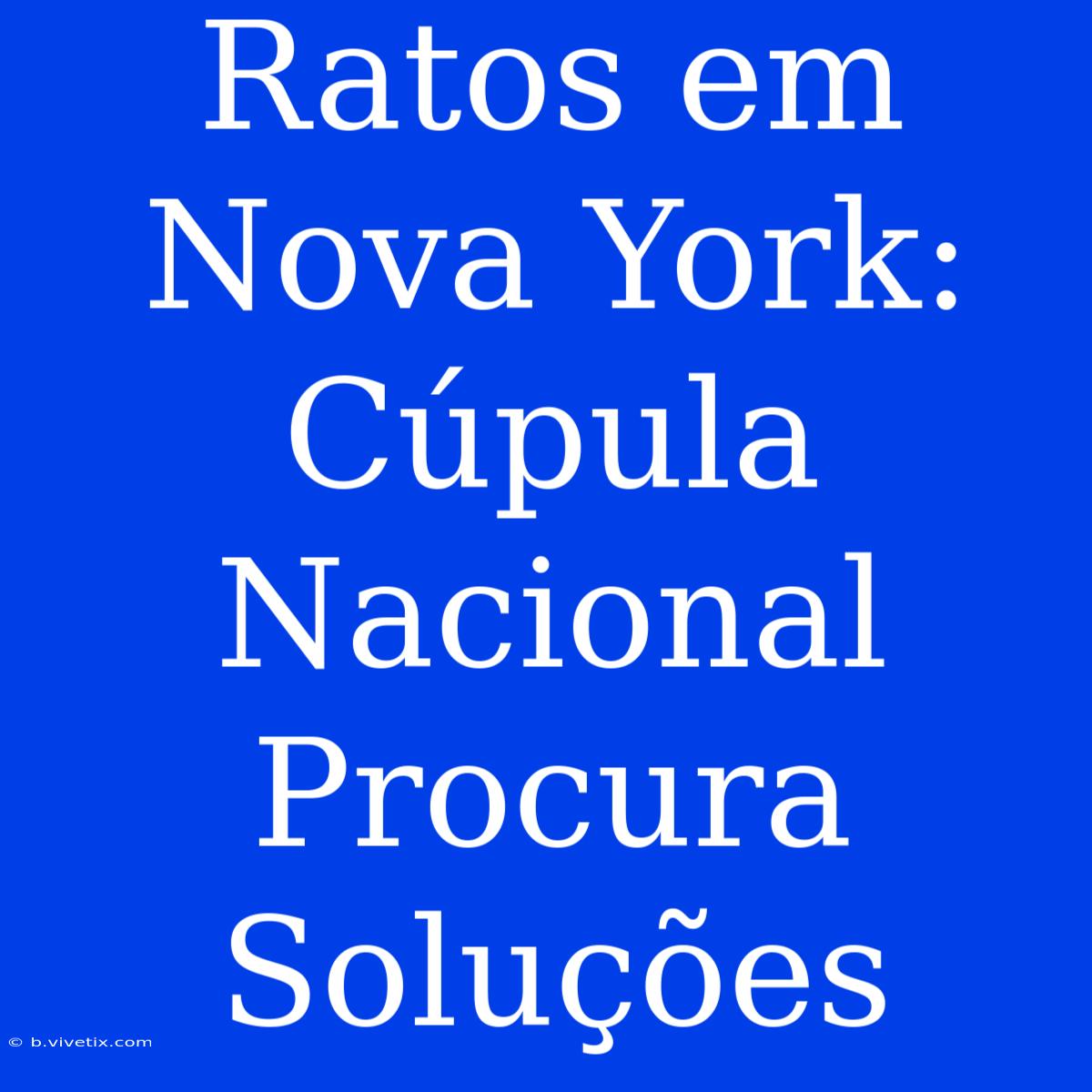 Ratos Em Nova York: Cúpula Nacional Procura Soluções 