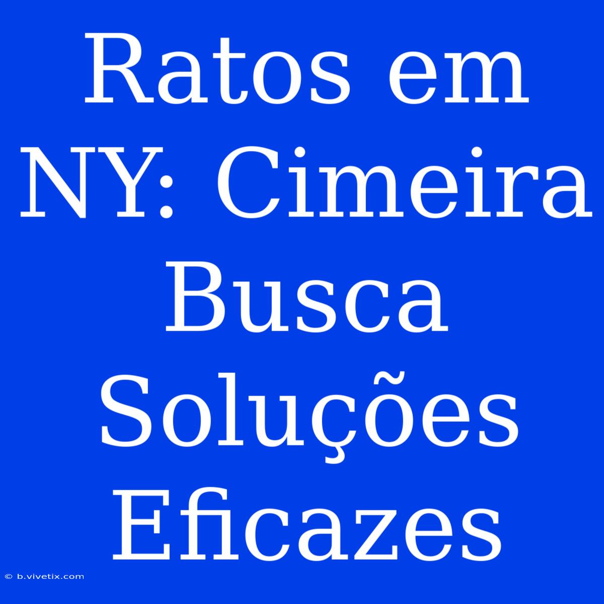 Ratos Em NY: Cimeira Busca Soluções Eficazes