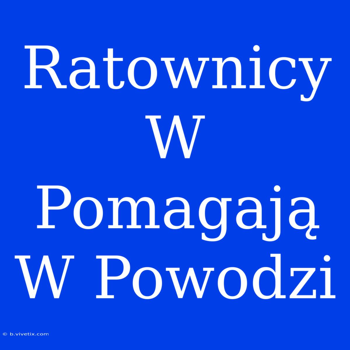 Ratownicy W Pomagają W Powodzi