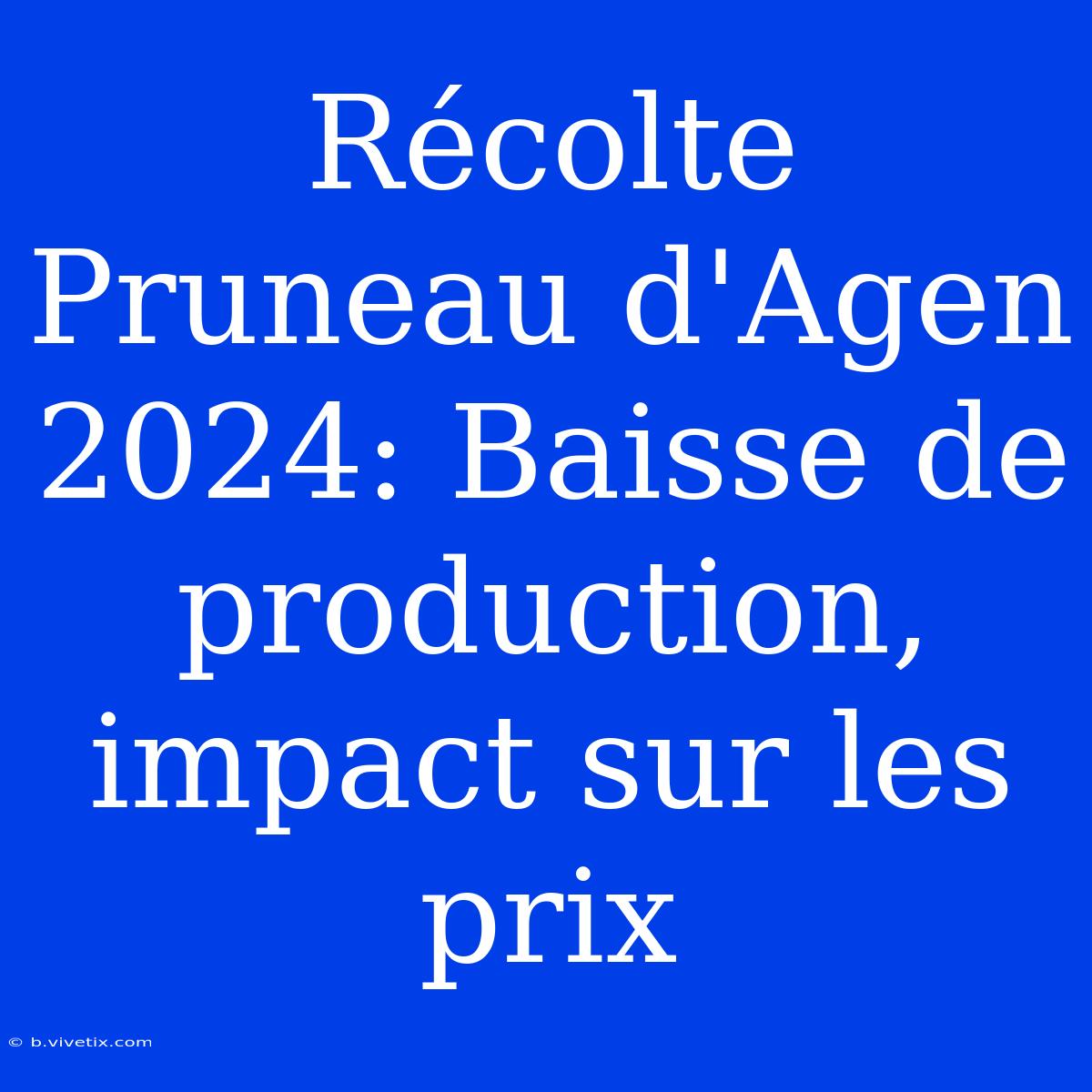 Récolte Pruneau D'Agen 2024: Baisse De Production, Impact Sur Les Prix