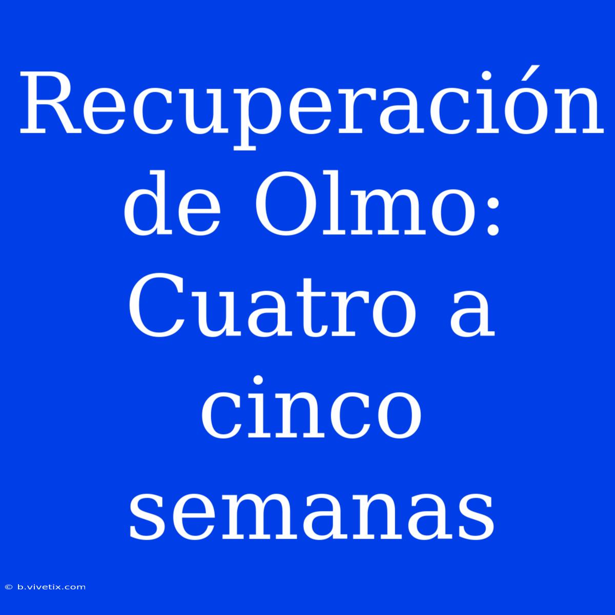 Recuperación De Olmo: Cuatro A Cinco Semanas