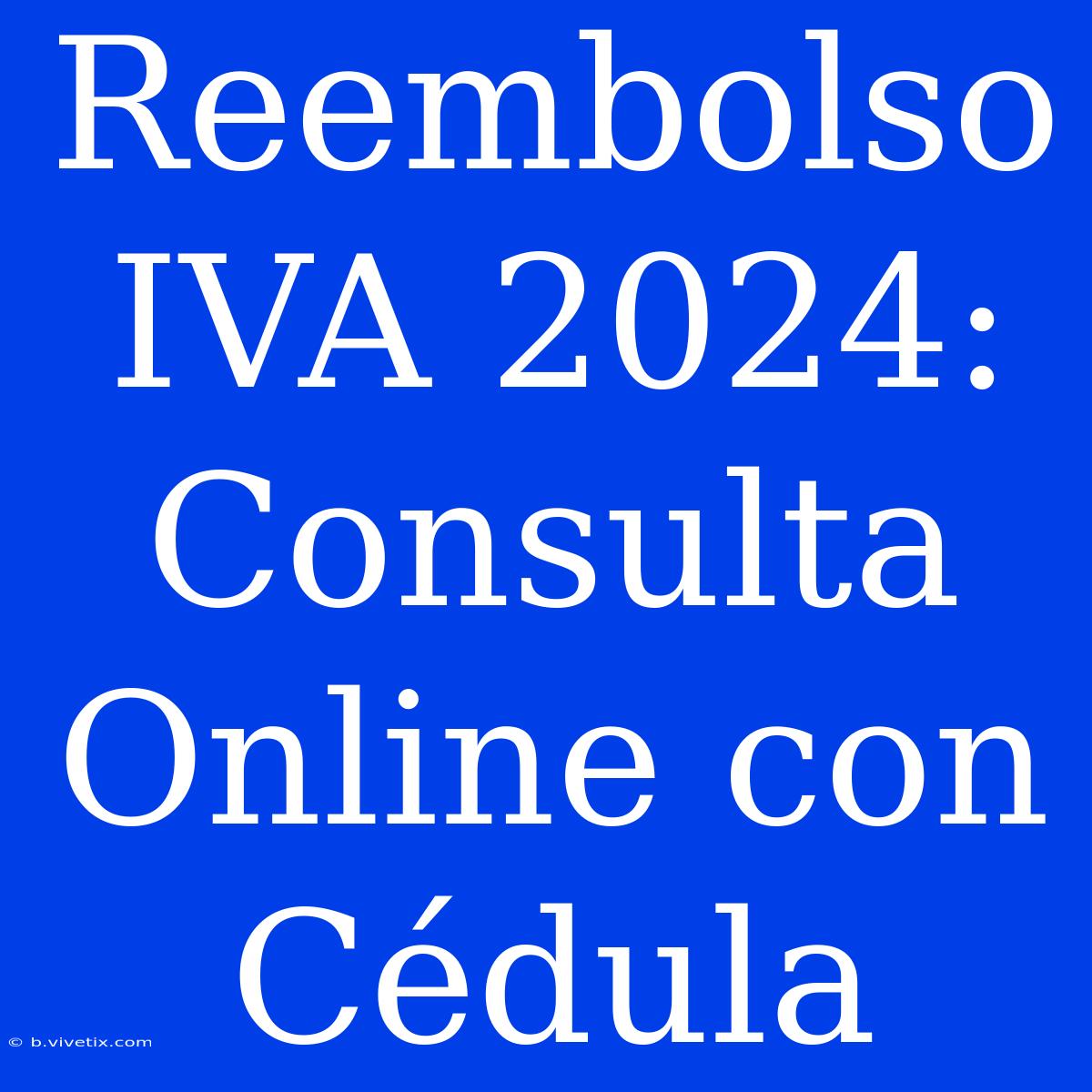 Reembolso IVA 2024: Consulta Online Con Cédula