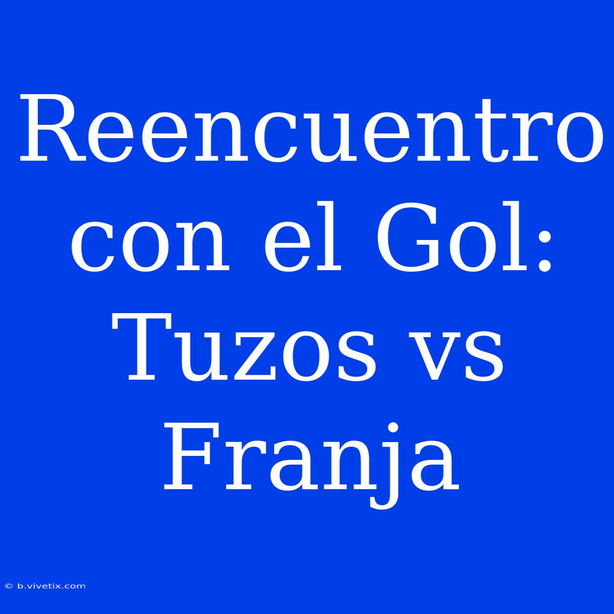 Reencuentro Con El Gol: Tuzos Vs Franja