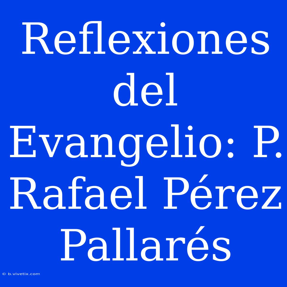 Reflexiones Del Evangelio: P. Rafael Pérez Pallarés