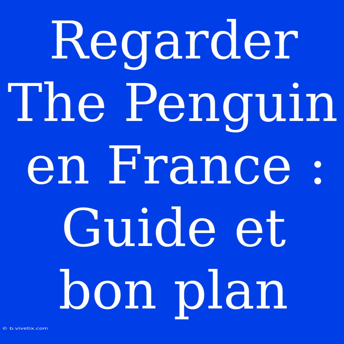 Regarder The Penguin En France : Guide Et Bon Plan