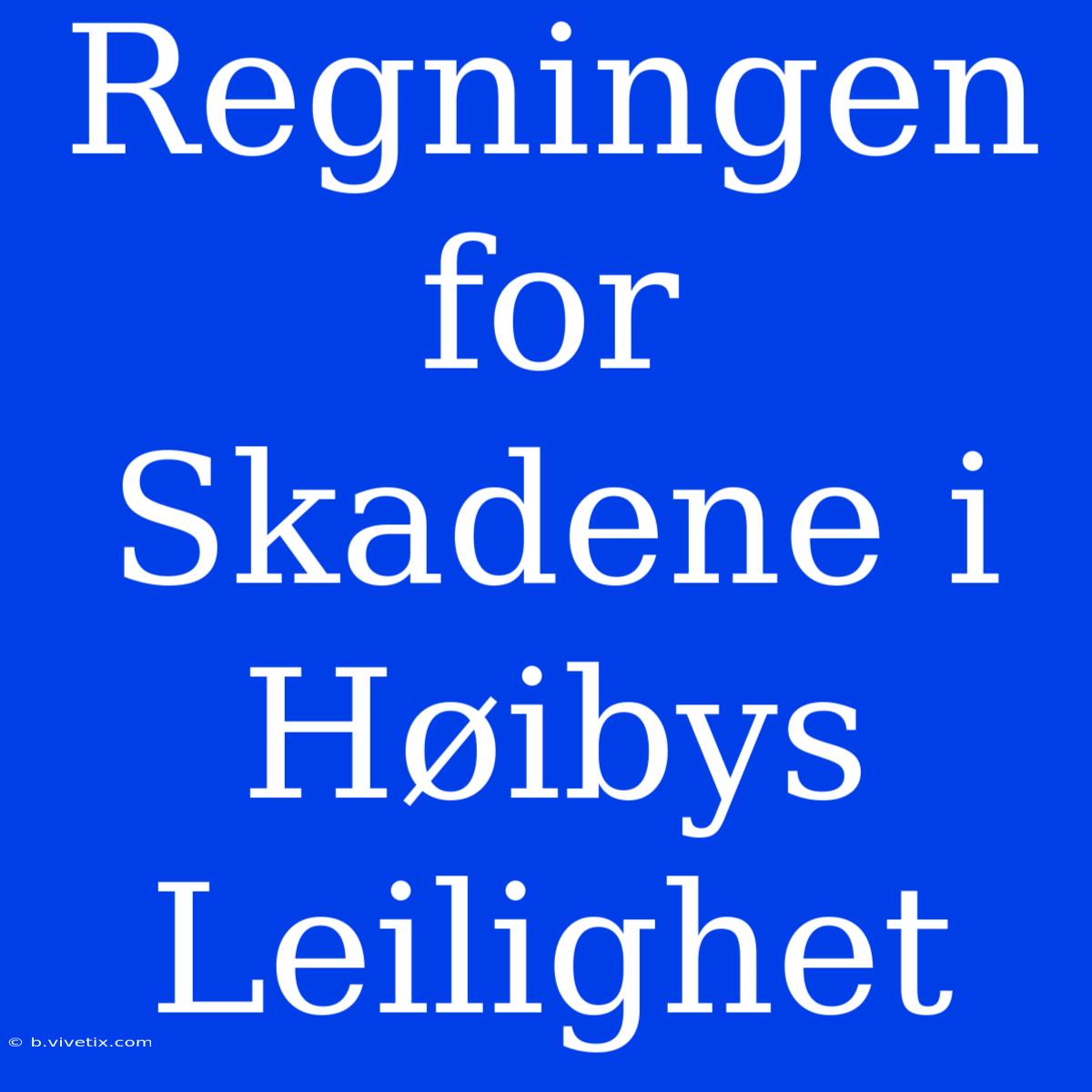 Regningen For Skadene I Høibys Leilighet