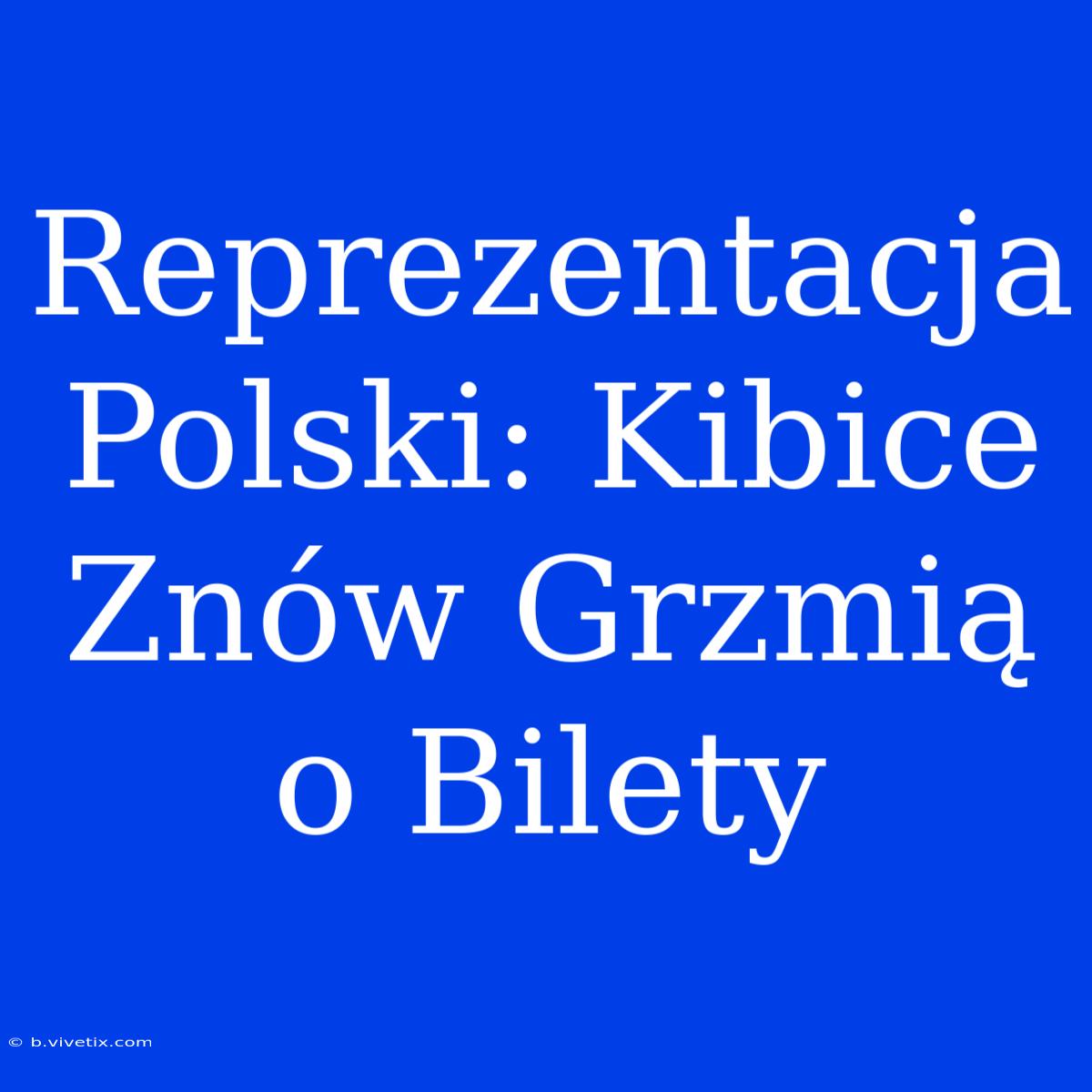 Reprezentacja Polski: Kibice Znów Grzmią O Bilety