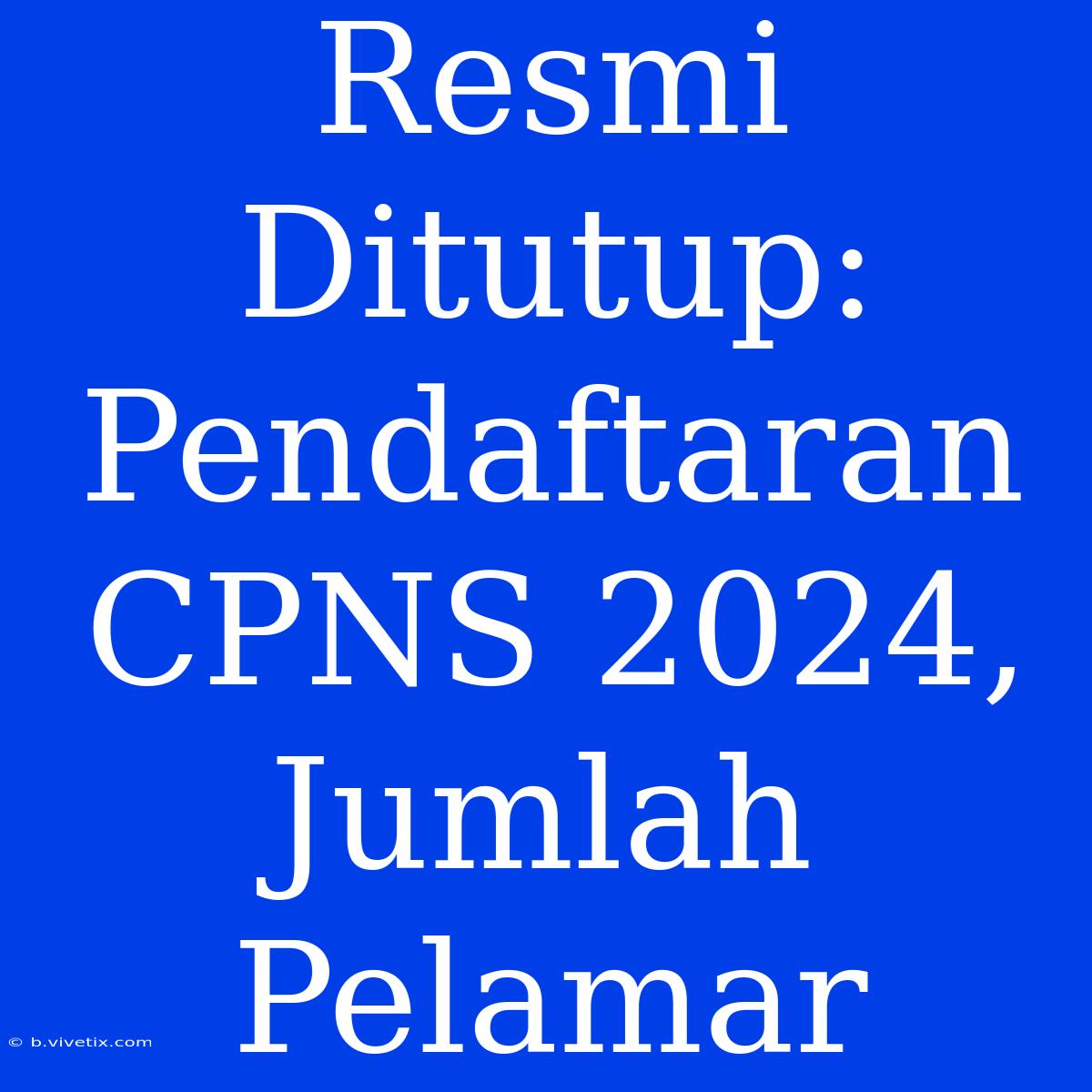 Resmi Ditutup: Pendaftaran CPNS 2024, Jumlah Pelamar