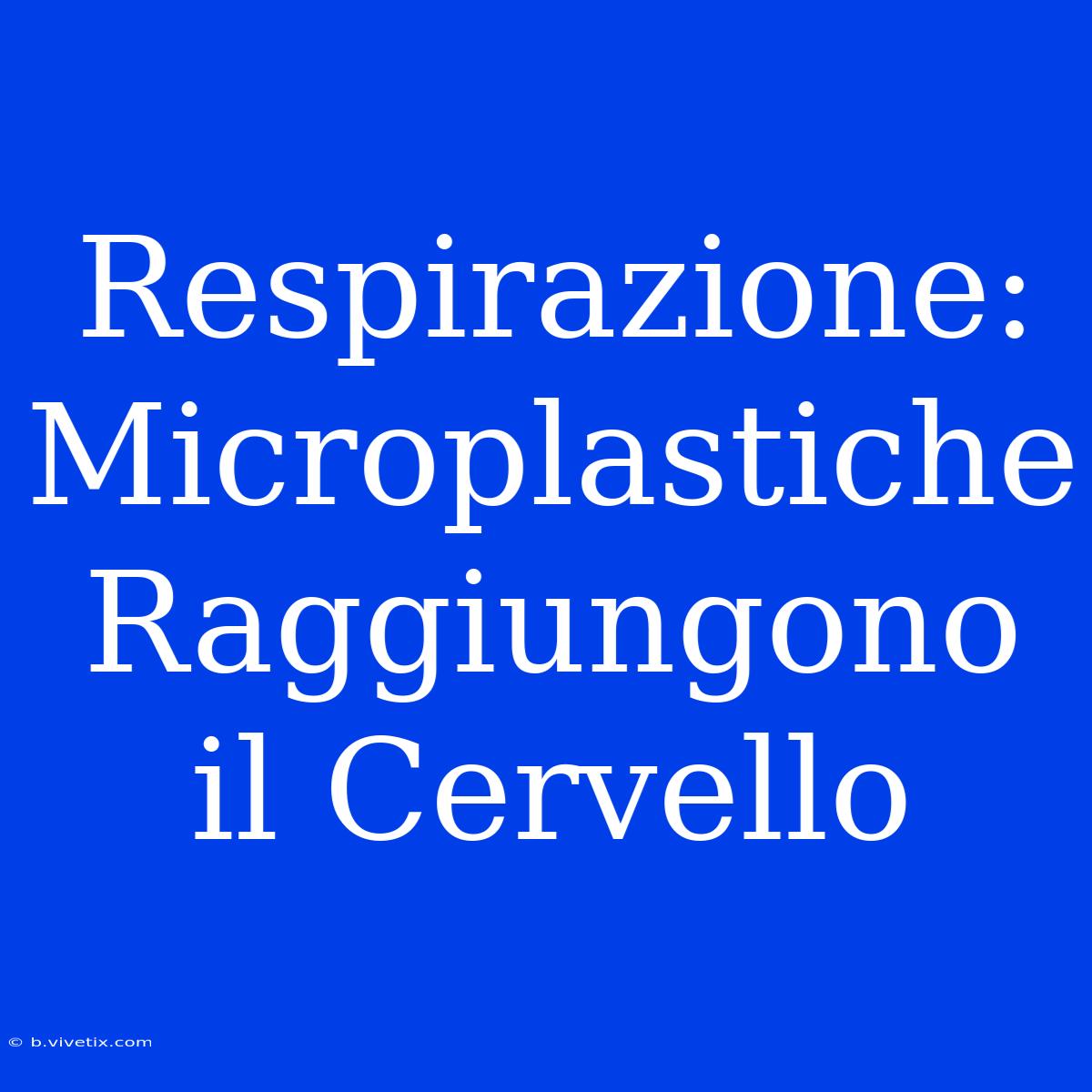 Respirazione: Microplastiche Raggiungono Il Cervello